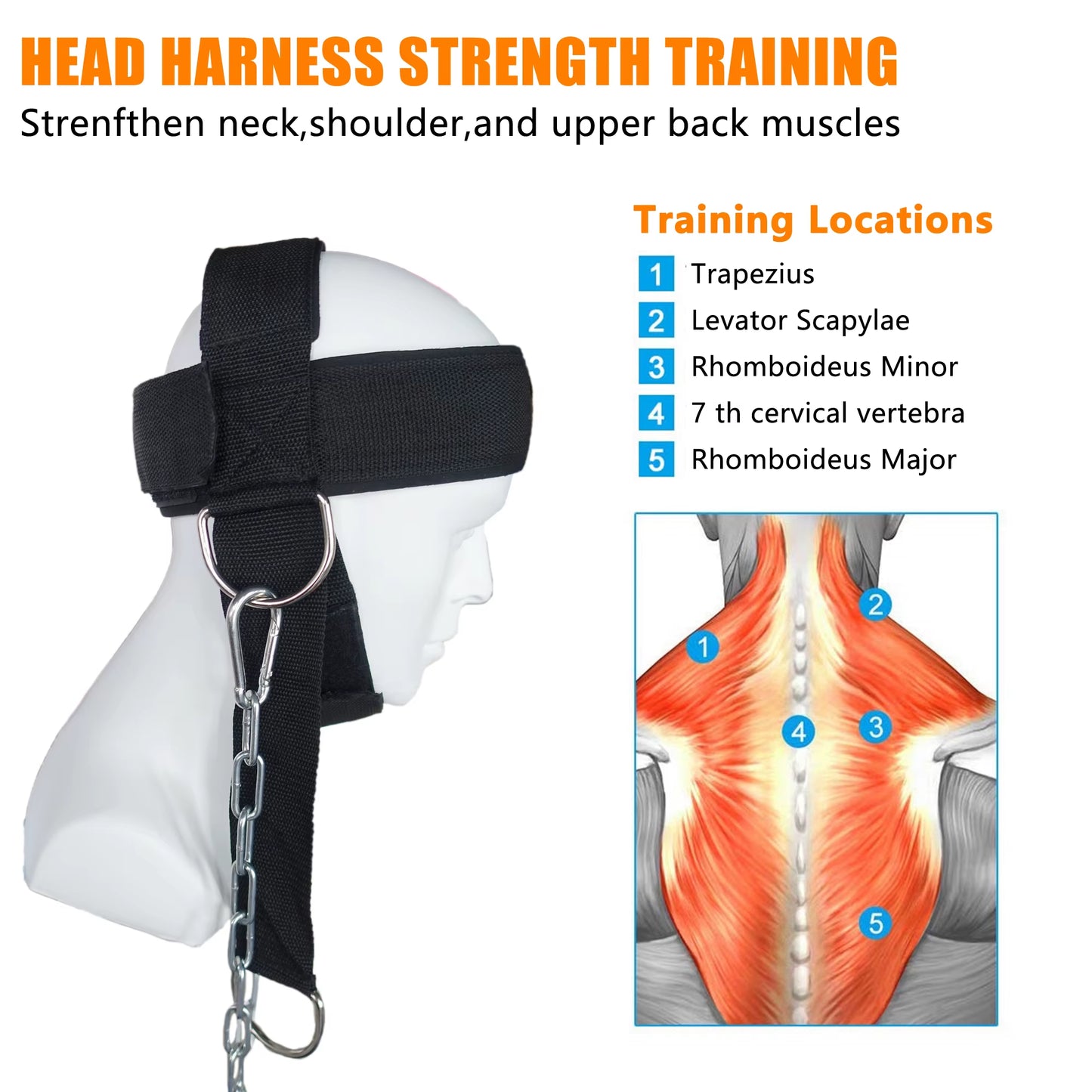 Head Neck Lifting Strap with Chain Adjustable Harness Trainer for Home Gym Weightlifting Bodybuilding Barbell Workout